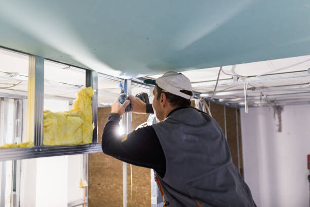 Best Insulation Maintenance and Repair in Collinsville, AL